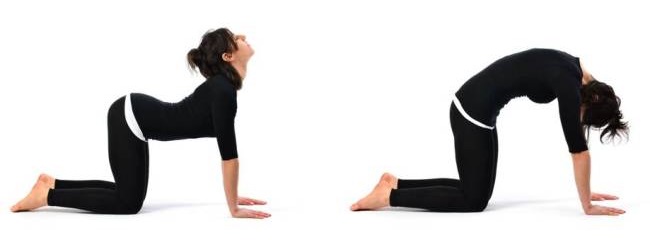 marjariasana-postura-del-gato-yoga