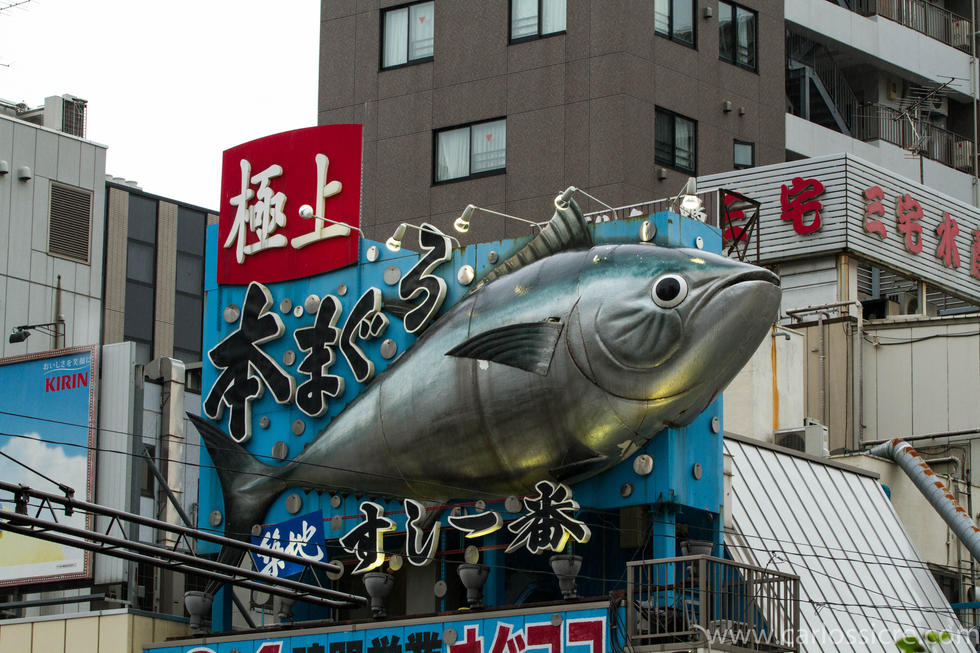 mercado-de-pescado-tsukiji_6055121